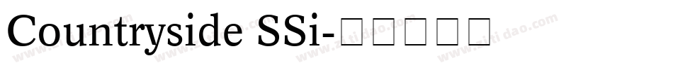 Countryside SSi字体转换